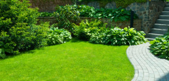 Garden stone path with grass growing up between the stones.Detail of a botanical garden.